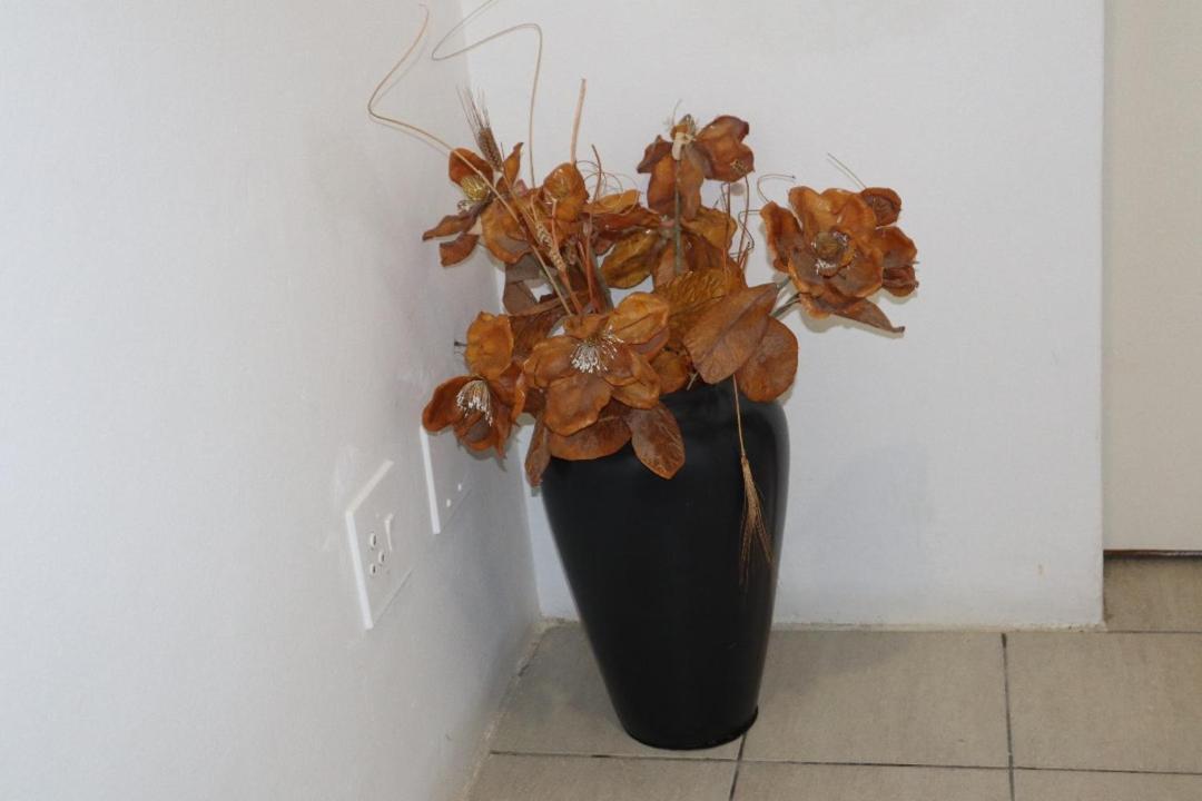 וואלביס ביי Coastwave Guest House מראה חיצוני תמונה