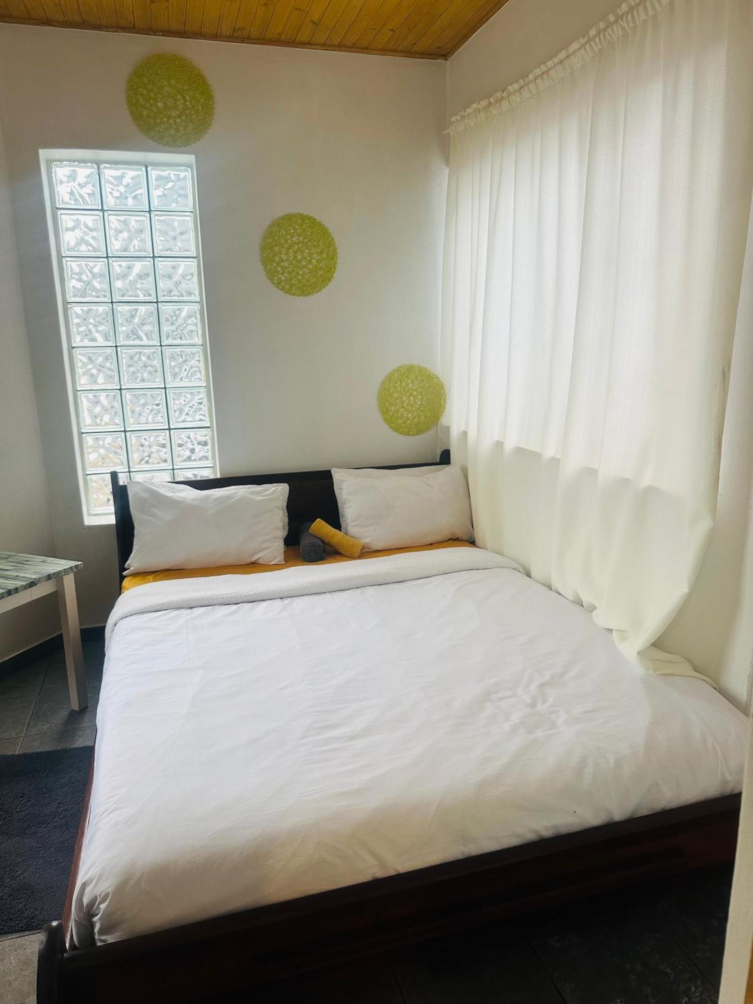 וואלביס ביי Coastwave Guest House מראה חיצוני תמונה